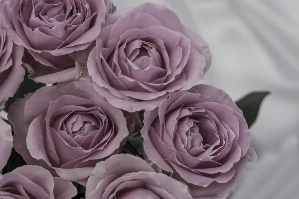 Güzel taze güllerle dolu tebrik kartı ve kopyalama alanı.