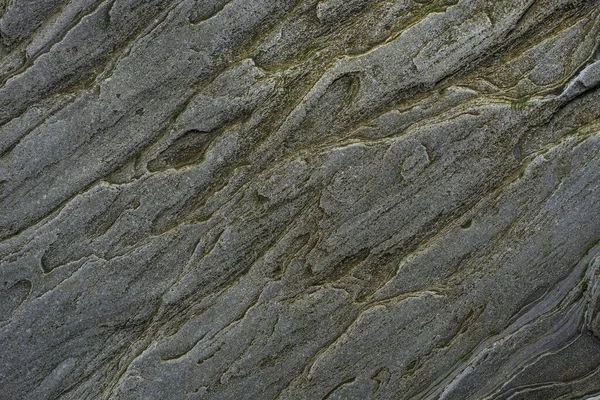 Taşın soyut doğal arka planı ve tuhaf bir dokusu var. 