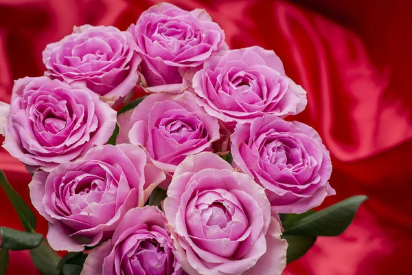 Güzel taze güllerle dolu tebrik kartı ve kopyalama alanı.