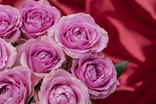 Güzel taze güllerle dolu tebrik kartı ve kopyalama alanı.