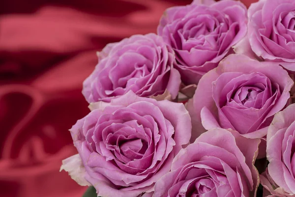 Güzel taze güllerle dolu tebrik kartı ve kopyalama alanı.