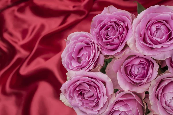 Güzel taze güllerle dolu tebrik kartı ve kopyalama alanı.