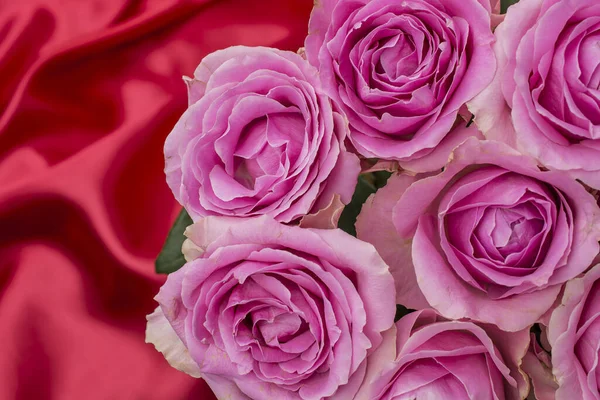 Greeting Card Beautiful Fresh Roses Copy Space — Zdjęcie stockowe