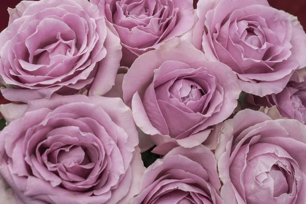 Güzel taze güllerle dolu tebrik kartı ve kopyalama alanı.