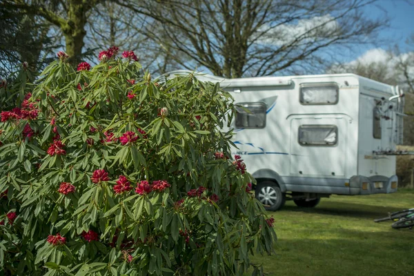 İngiliz Ülkesi 'ndeki bir kamp alanında beyaz karavan karavanı.