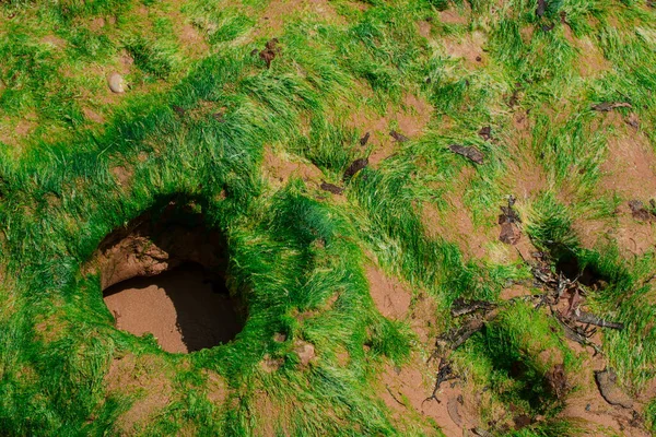 Ngiliz Manş Denizi Kıyısındaki Ladram Koyu Nun Kırmızı Kumtaşları — Stok fotoğraf