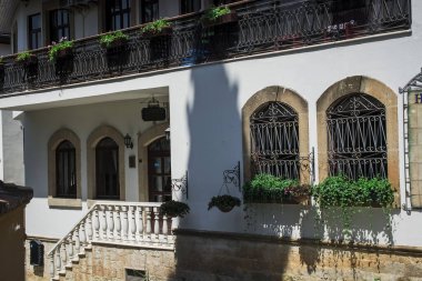 Arkaplan için çiçek duvarı dikey bahçesi