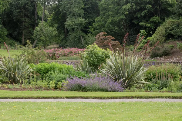 Krajinářská Tradiční Anglická Zahrada Letními Květinami — Stock fotografie