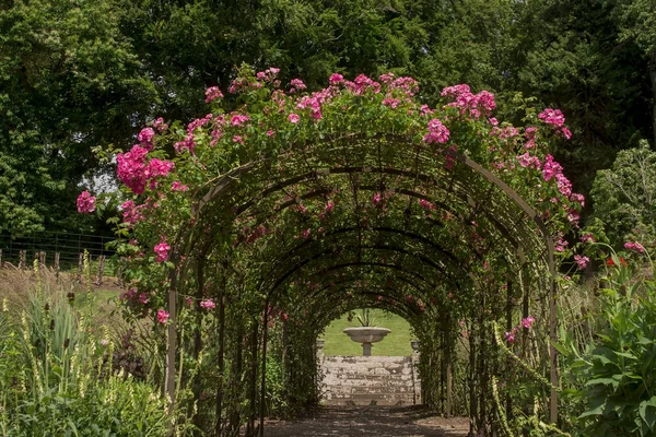 Landscaped Traditional English Garden Summer Flowers — 스톡 사진