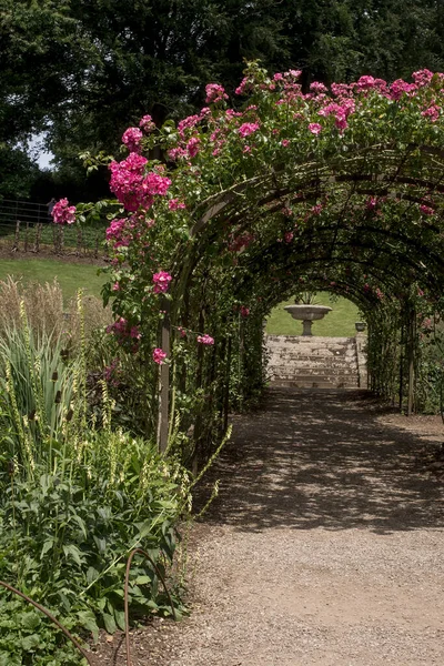 Landscaped traditional English garden with summer flowers