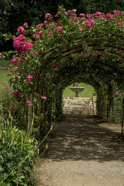 Landscaped traditional English garden with summer flowers 