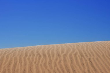 Gold desert Sand texture on the beach