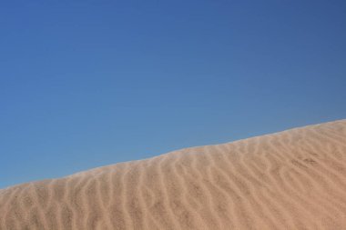 Gold desert Sand texture on the beach