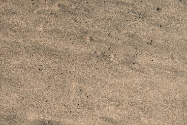 Gold desert Sand texture on the beach