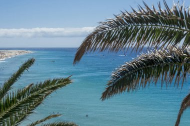 beach in Playa del Matorral in Morro Jable, Canary Island Fuerte
