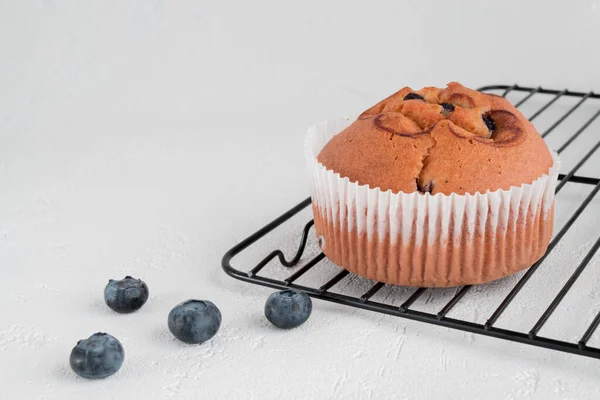 Blaubeermuffin Und Frische Verstreute Blaubeeren Auf Einem Weißen — Stockfoto