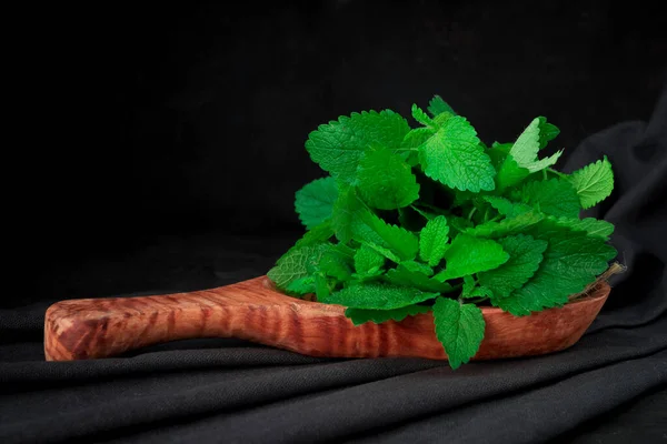 Lemon Balm Herb Tied Bunch Twine Dark Backgriound — Stock Photo, Image