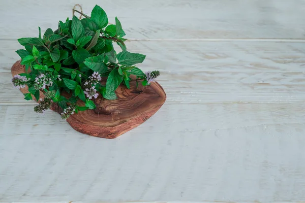 Fresh Garden Peppermint Bunch Mint Table — Stock Photo, Image