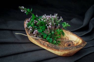 Keklik otu bitkisine yakın, çiçek açan sağlıklı bir bitki.