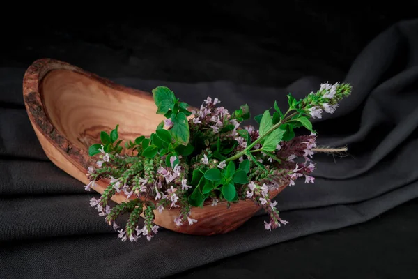 Close up  of oregano plant blooming healthy garden herb