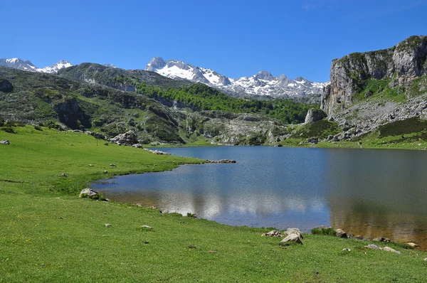 Торрент хижина в лесу в хорошем качестве