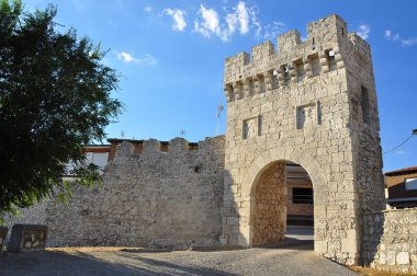 Ortaçağ ağ geçidi. Portillo. İspanya.