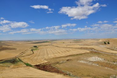 alanları. Tiedra. İspanya.