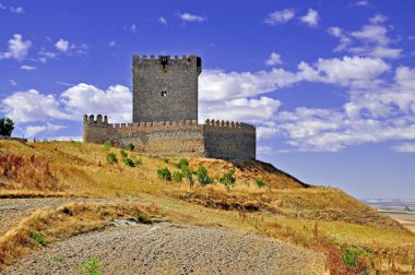 Castle. Tiedra. İspanya.