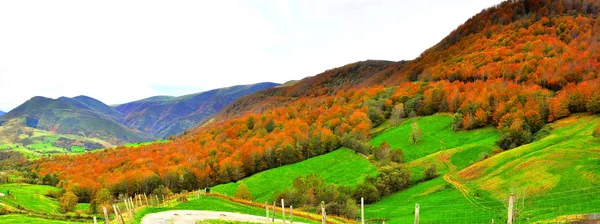 Autumn. Burgosi. Spain. — Stock Photo, Image