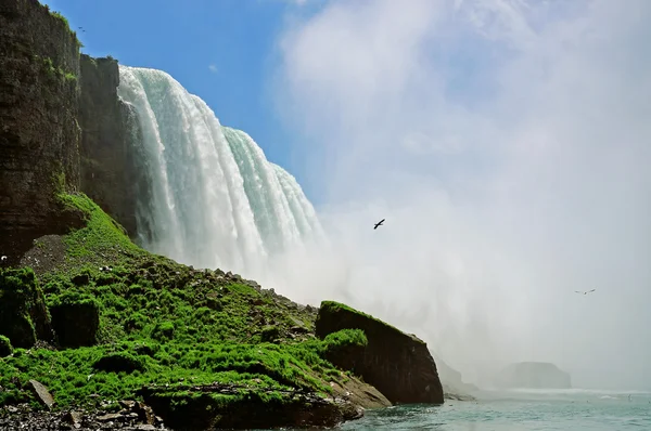 Niagara Falls. États-Unis . — Photo