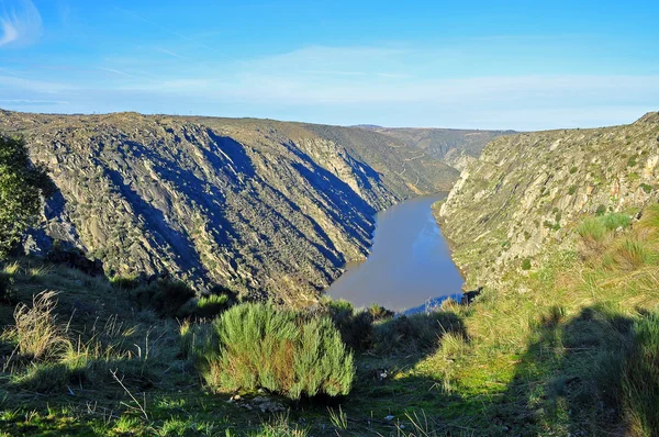 Rzeki douro. Salamanca. Hiszpania. — Zdjęcie stockowe