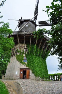 park Sanssouci yel değirmeni. Potsdam. germay.