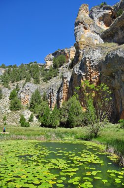 Rio lobos Kanyonu. ucero. Soria. İspanya.