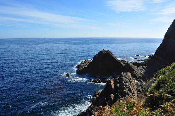 Côte cantabrique. Biskay. Espagne . — Photo