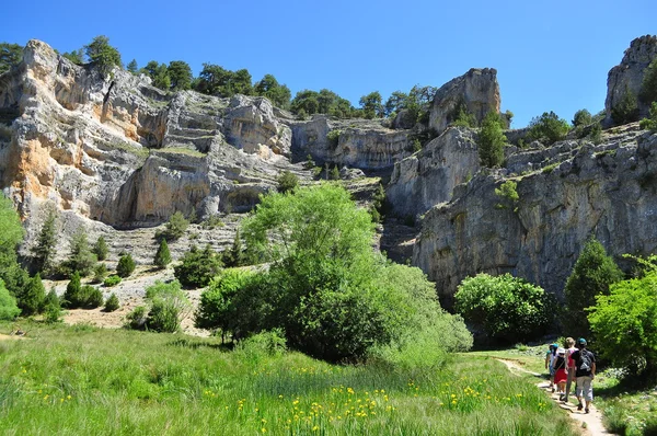 Rio lobos canyon. Ucero. Soria. Spanyolország. — Stock Fotó