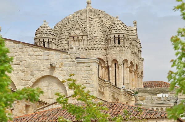 Cupola. Cattedrale di Zamora. Spagna . — Foto Stock