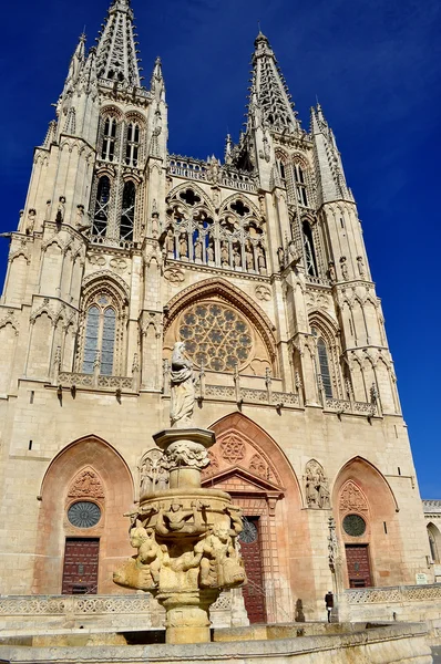 Cattedrale di Burgos. Spagna . — Foto Stock