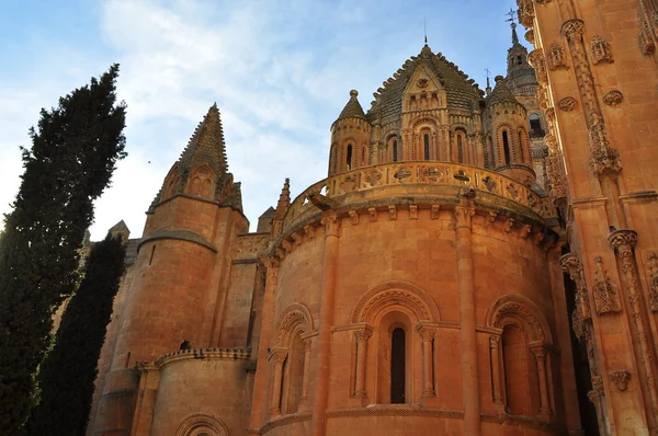 Apsis van de oude kathedraal. Salamanca. Spanje. — Stockfoto