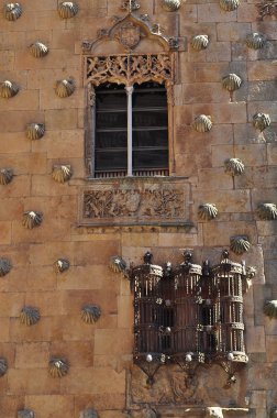 Windows. Casa de las conchas. Salamanca. İspanya.