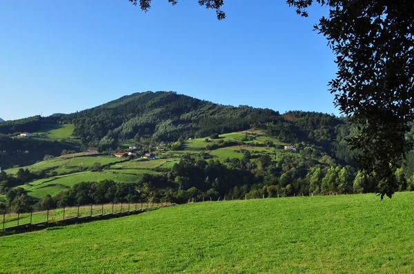 Ibarrangelu. Bizkaia. Spanien. — Stockfoto