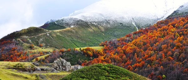 san glorio sonbaharda. Leon. İspanya.