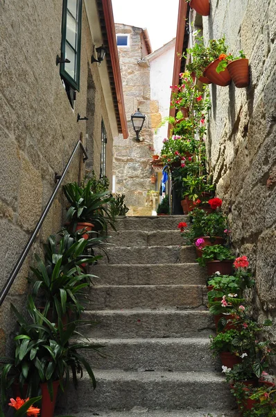 Treppe mit Blumen. — Stockfoto