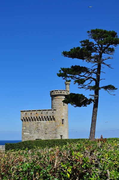 Castle, çam.