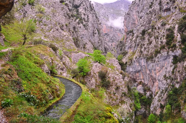 Canyon. Asturias. Spanyolország. — Stock Fotó