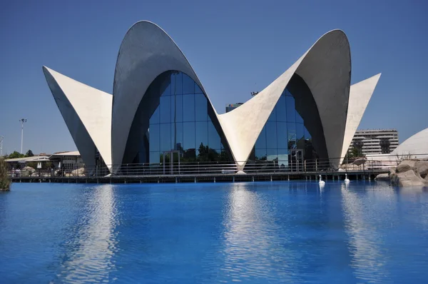Oceanografisch museum. Valencia. Spanje. — Stockfoto