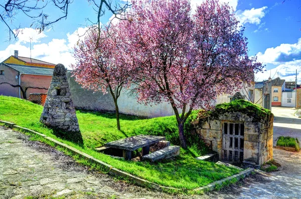 Vinařství. La horra. Španělsko. — Stock fotografie