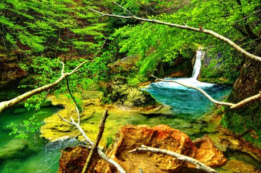 urederra Nehri. Navarra. İspanya.