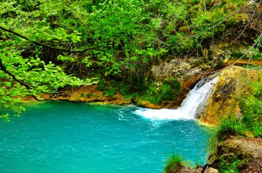 urederra Nehri. Navarra. İspanya.