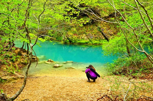 urederra Nehri. Navarra. İspanya.