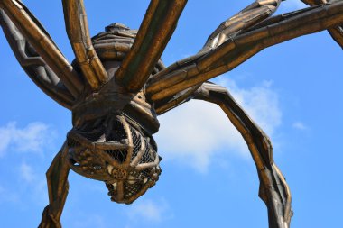 Guggenheim. Bilbao. İspanya.